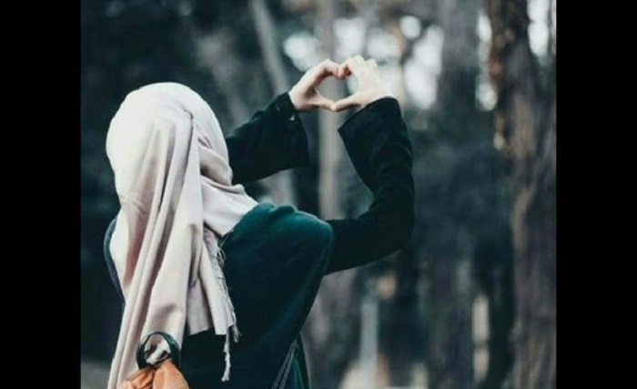 stylish instagram hijab dp.