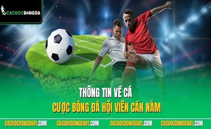 Trang Cá Độ